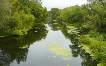 Подновиха търсенето на изчезналата жена край река Луда Мара