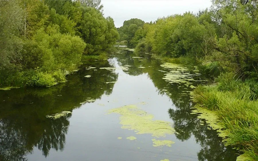 Подновиха търсенето на изчезналата жена край река Луда Мара
