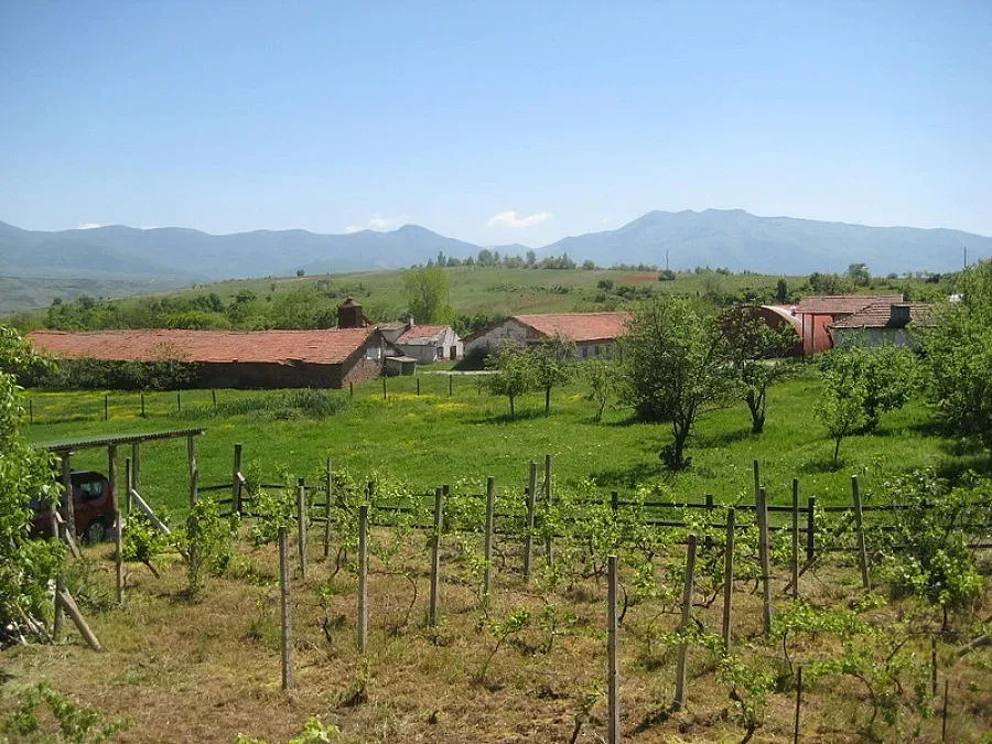 Село дава вино за картофи и боб