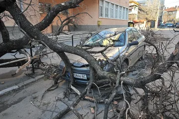 Снеговалеж спря отстраняването на авариите във Вършец и Берковица