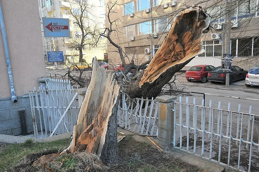Ураган отнесе къщи и мостове (ОБЗОР)