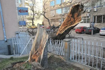 Силен вятър затвори пътища в Монтанско