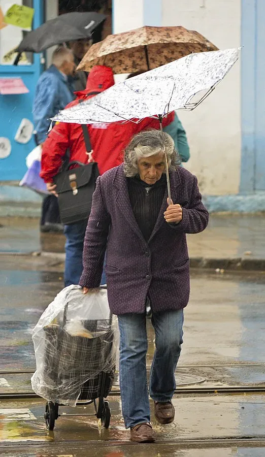 Вятърът причини аварии и събори дървета в Северозападна България