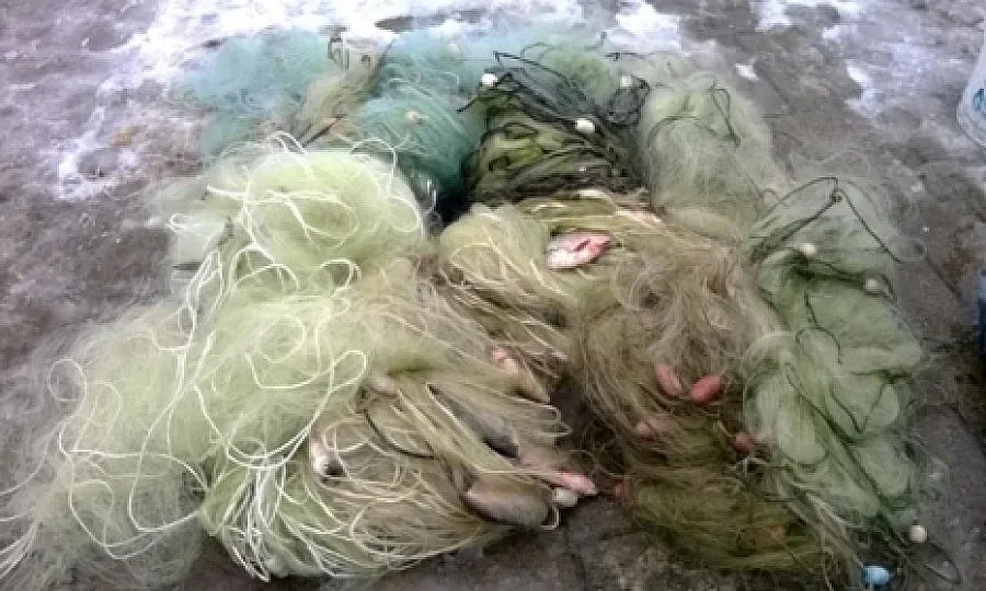 Конфискуваха над 200 м бракониерски мрежи