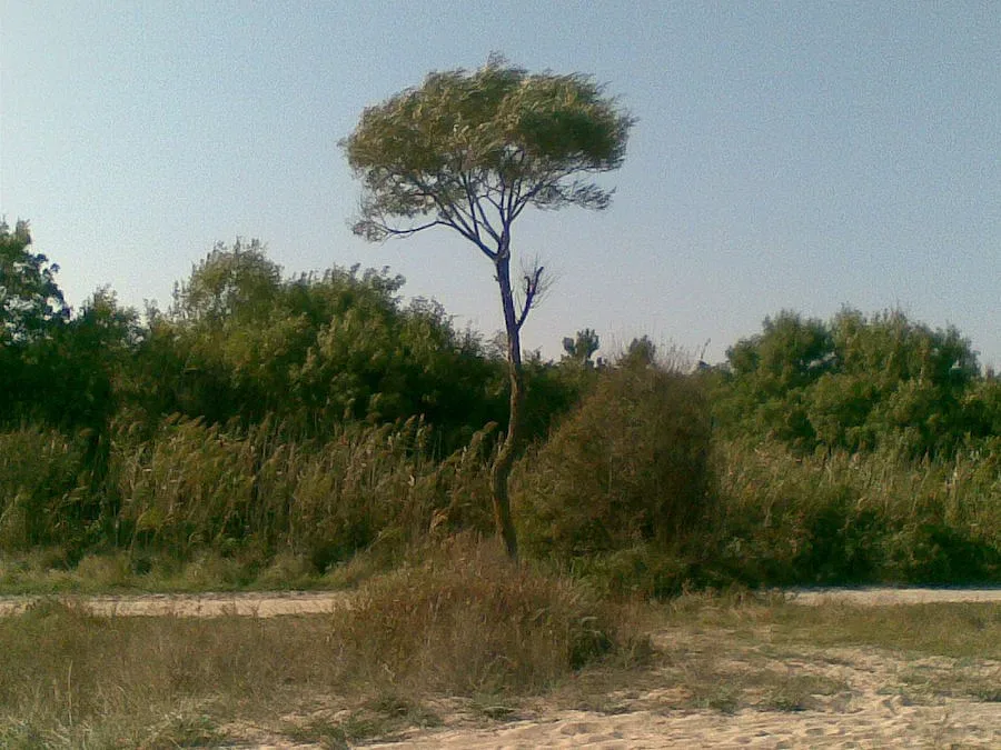 Областна администрация инициира ново обследване на резерват