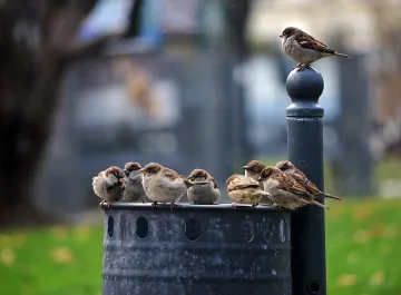Дъждовно в четвъртък