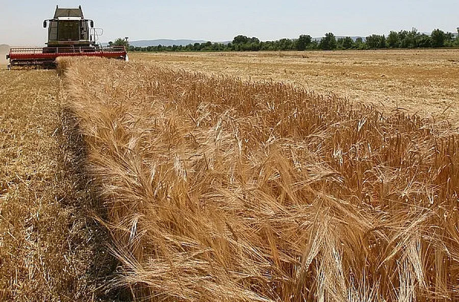 Изграждат система за бързо предупреждение за рискови храни