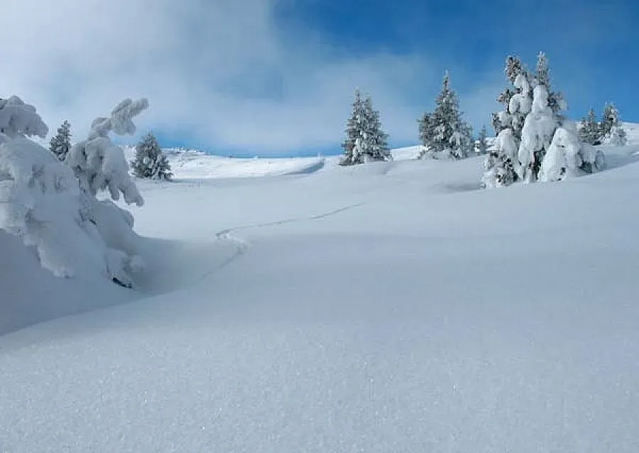Спасиха изгубен младеж във Витоша
