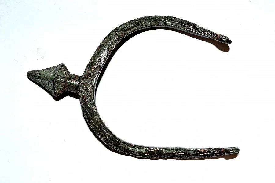 Откриха в Лютица шпори на викинги