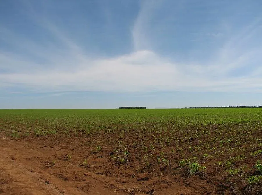 Фонд "Земеделие" изплаща парите по Схемата за площ