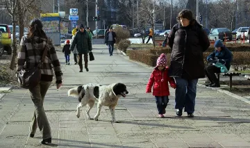 И домашните котки с чип