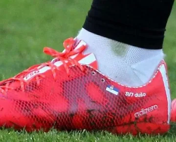 Швайни се обясни на Ана върху бутонка