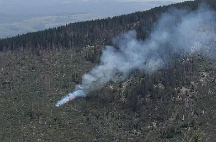 Вдигат кули срещу пожари в Пиринско