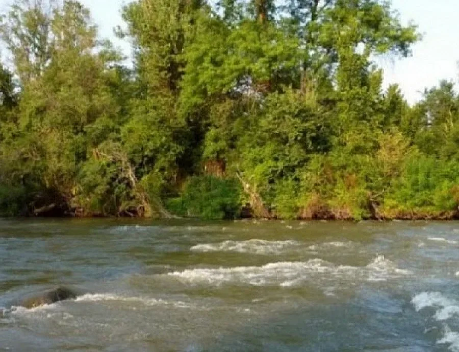 МОСВ: Повишават се нивата на реките Тунджа и Арда