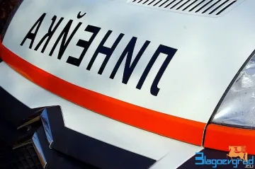 И КАТ иска премахване на дървета-убийци край пътя Петрич – Първомай