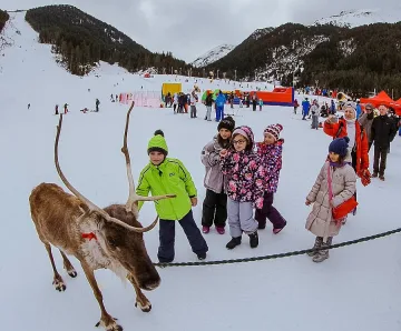 Северен елен радва децата в Банско 