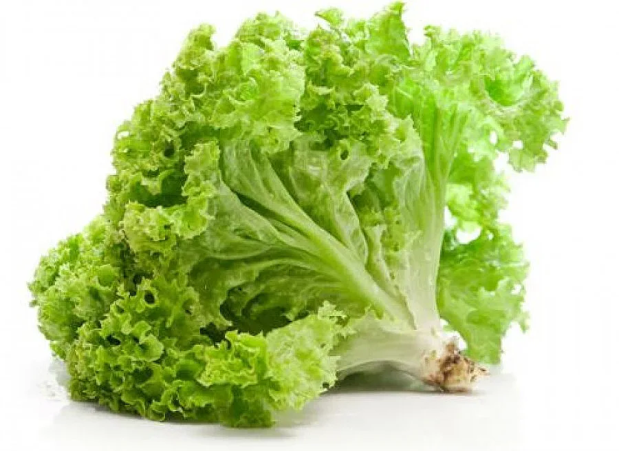 Салатата продължава да поскъпва 