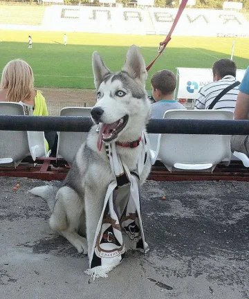 Нова мода в "Славия"