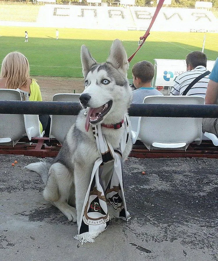 Нова мода в "Славия"