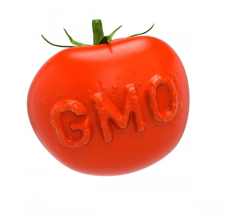 Европарламентът гласува за правото на отказ от ГМО