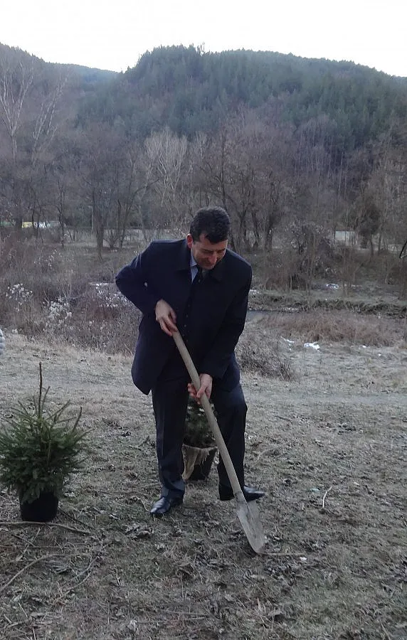 Зам.-губернатор засади коледно дръвче отново в природата