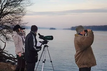 Без лов и стрелба заради броене на птици