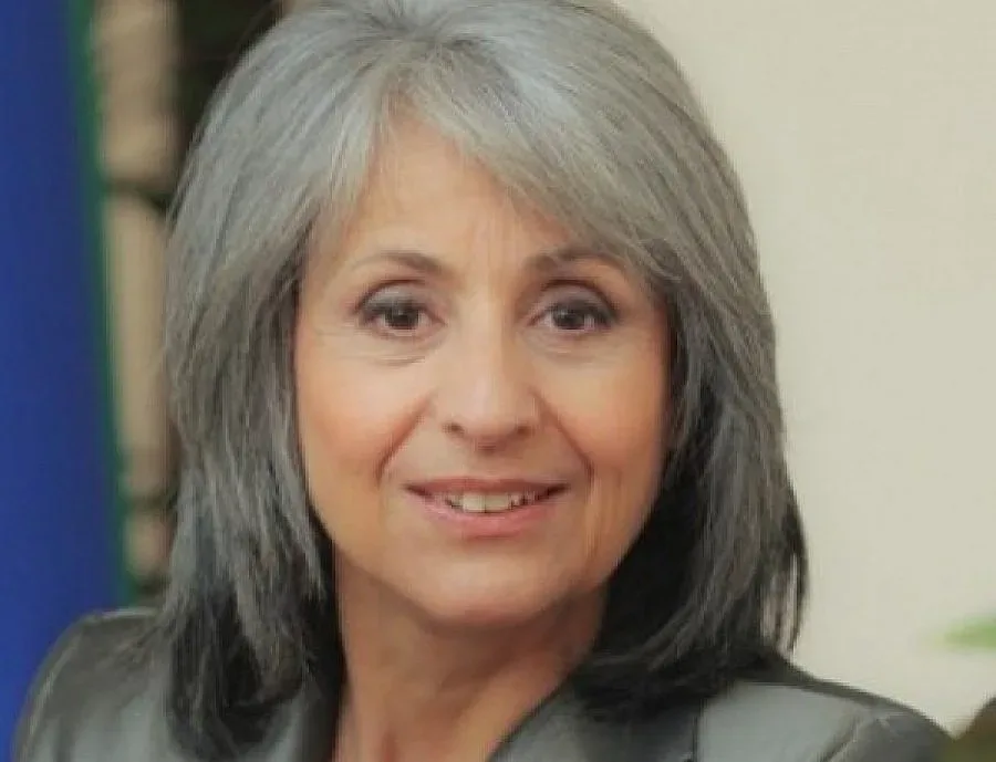 Попова: Няма нищо страшно армията да помогне на МВР на границата