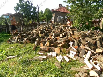Близо 255 000 са подпомаганите с целева помощ за отопление