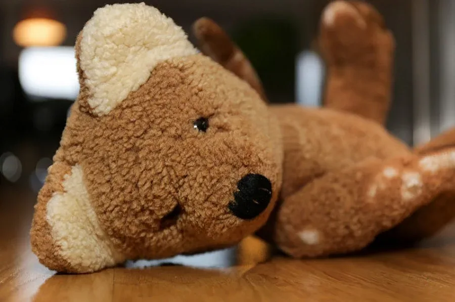 Местят Гошко от Дебелт в пансион