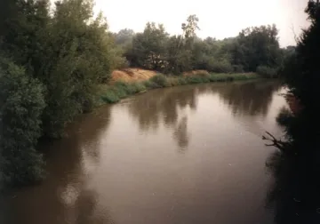 Българското поречие на Тимок става защитена зона