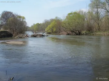 Бракониер се удави в ледената Марица
