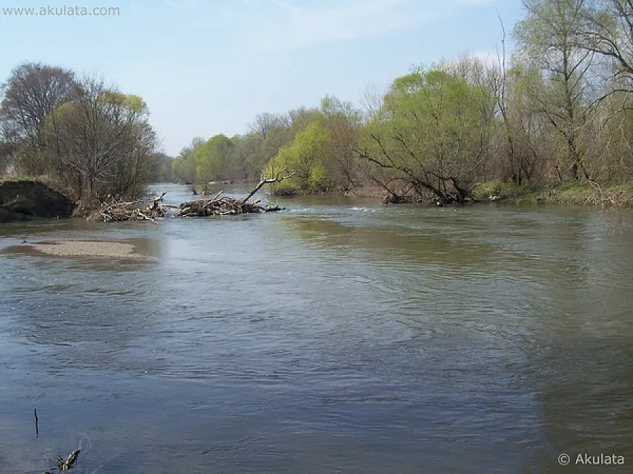 Бракониер се удави в ледената Марица
