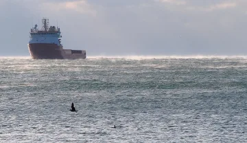 Банкоматите замръзнаха, морето завря от студ (ОБЗОР)