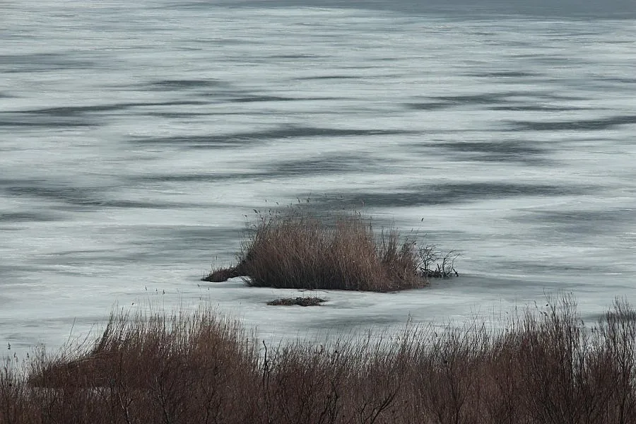 Езерото на пеликаните замръзна