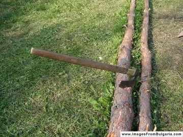 Племенник заби брадва в главата на леля си