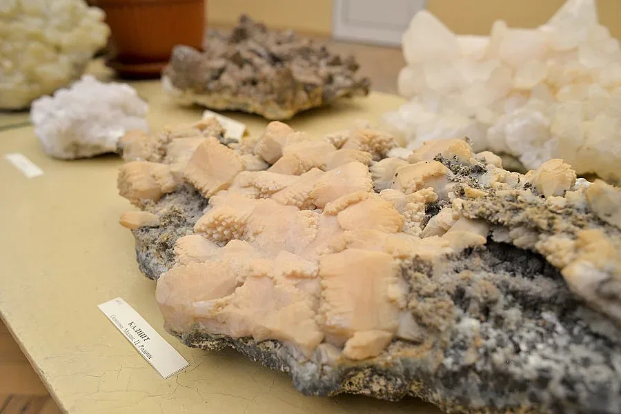 42 метеорита в Алма матер