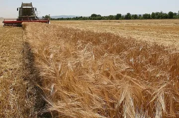 Селските стопани ще плащат върху 300 лв.
