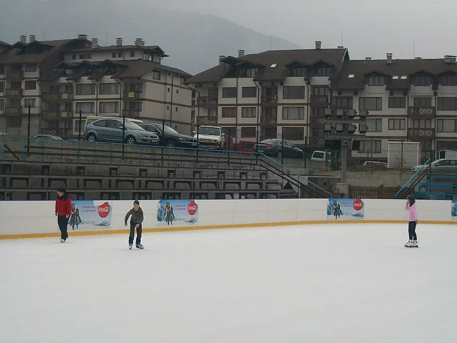 Над 15 000 посрещнаха Нова година в Банско