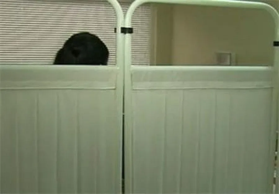 14-годишната майка на второто дете за 2015-а ще го гледа с помощи