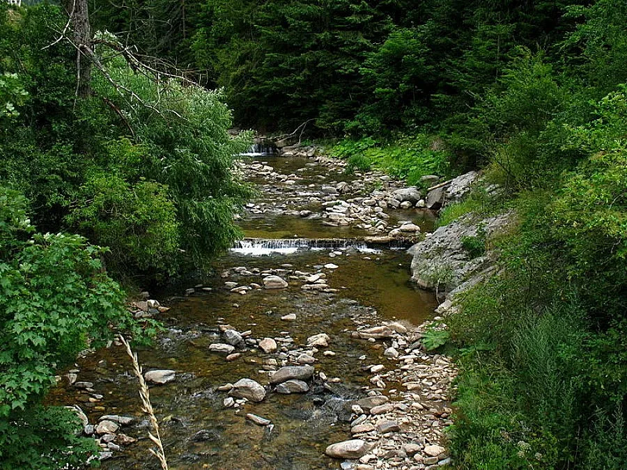 Кола падна в река Широколъшка, има жертва 