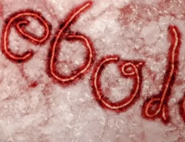 Първи случай на ебола в Либия