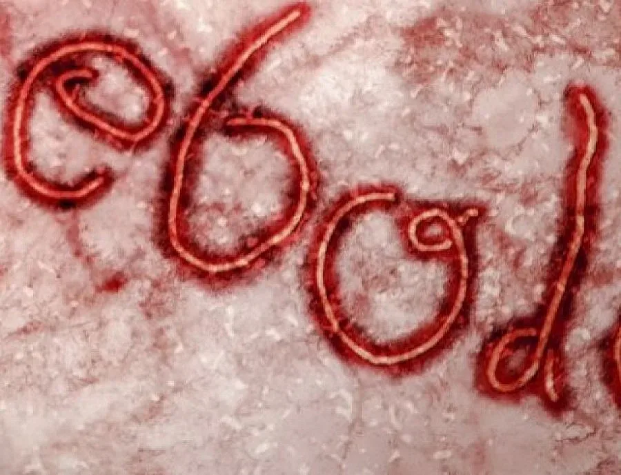 Първи случай на ебола в Либия