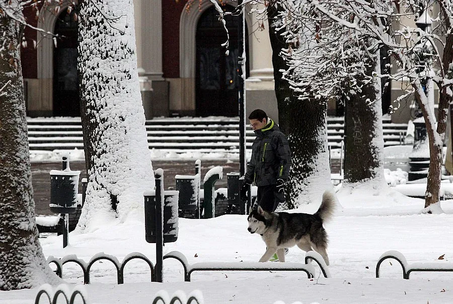 Жълт код за силен сняг и виелици в страната