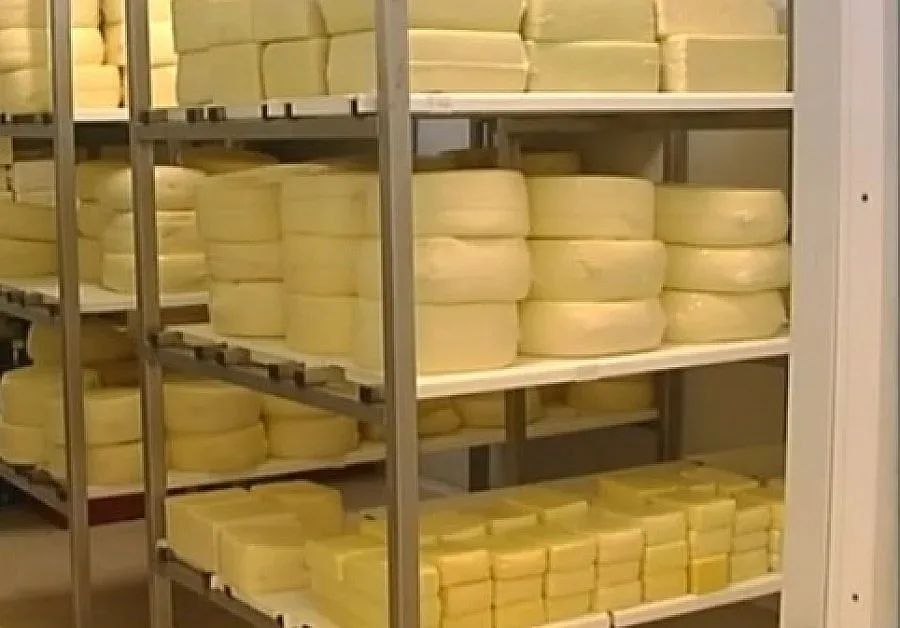 Млекопроизводители: 2014 г. бе тежка за бранша