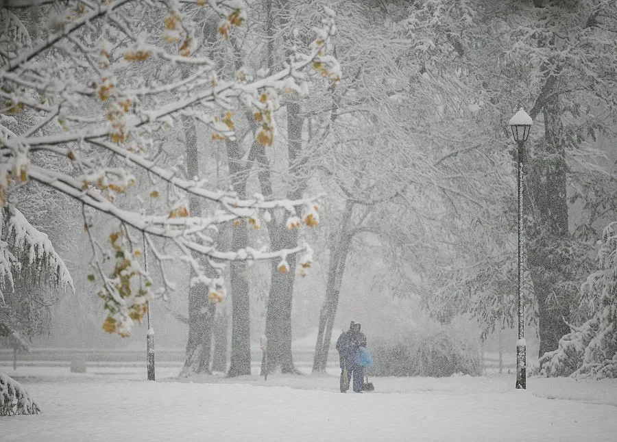 Жълт код за силен вятър в три области на страната