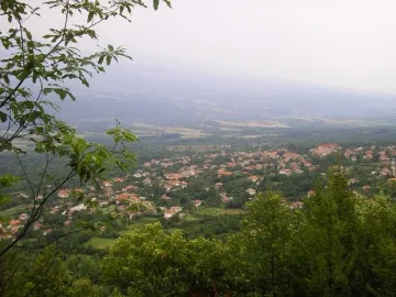 Кметица търси булка на млад сириец в с. Скрът