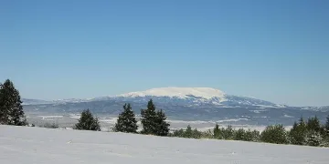 Автобус катастрофира на Витоша