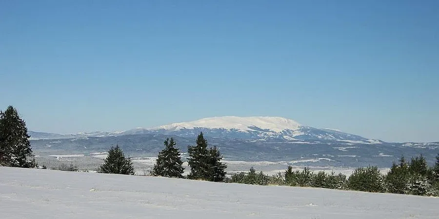 Автобус катастрофира на Витоша