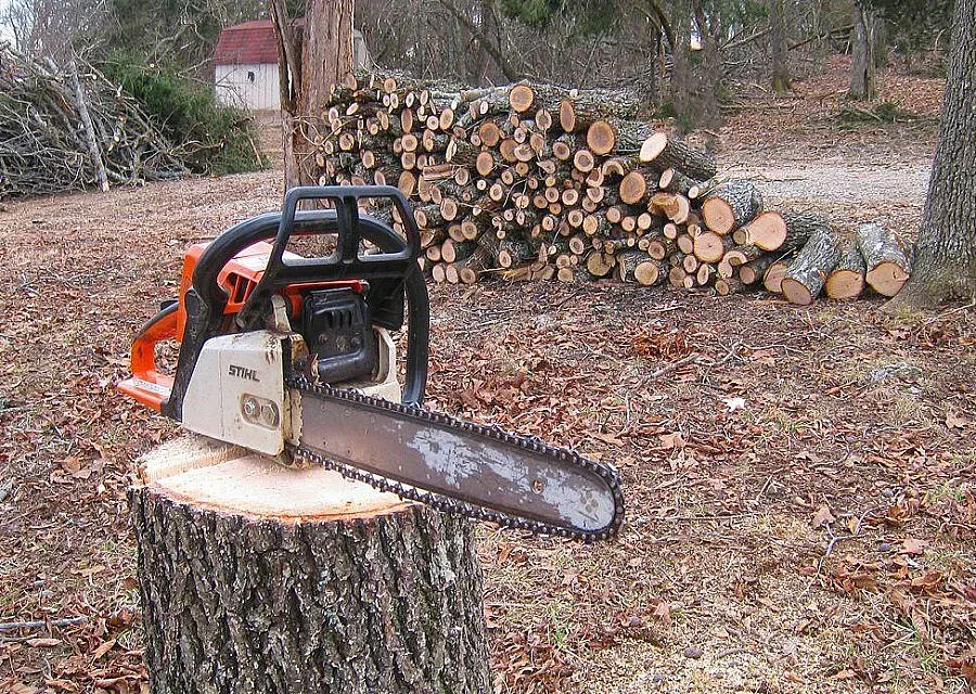 Две жени се опитаха да подкупят горски