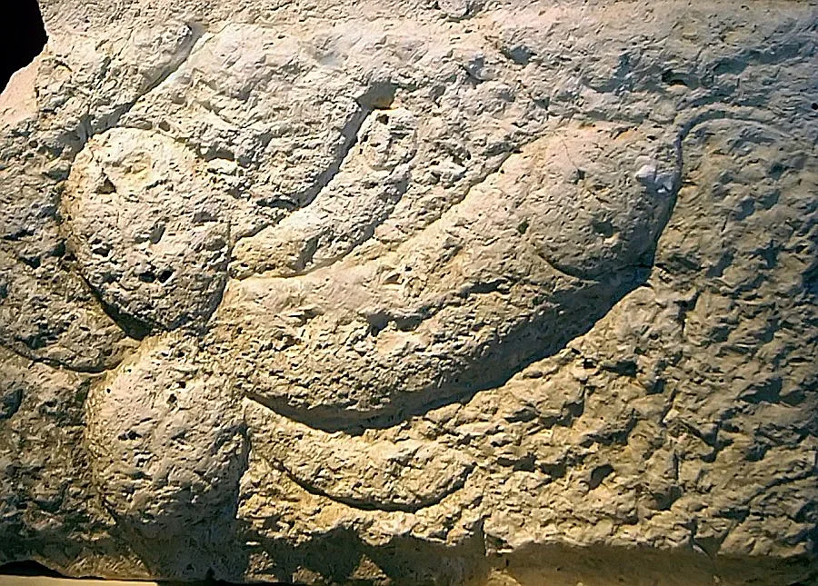 Показаха знака на публичния дом в Римските терми